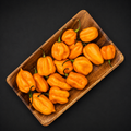Habanero Pepper