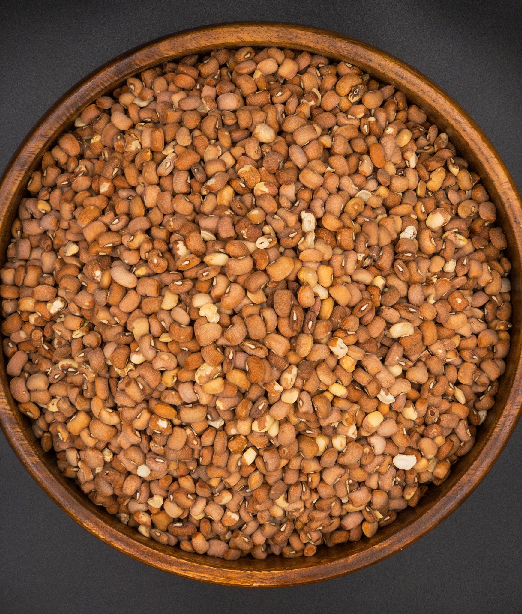 Brown Beans (Drum)