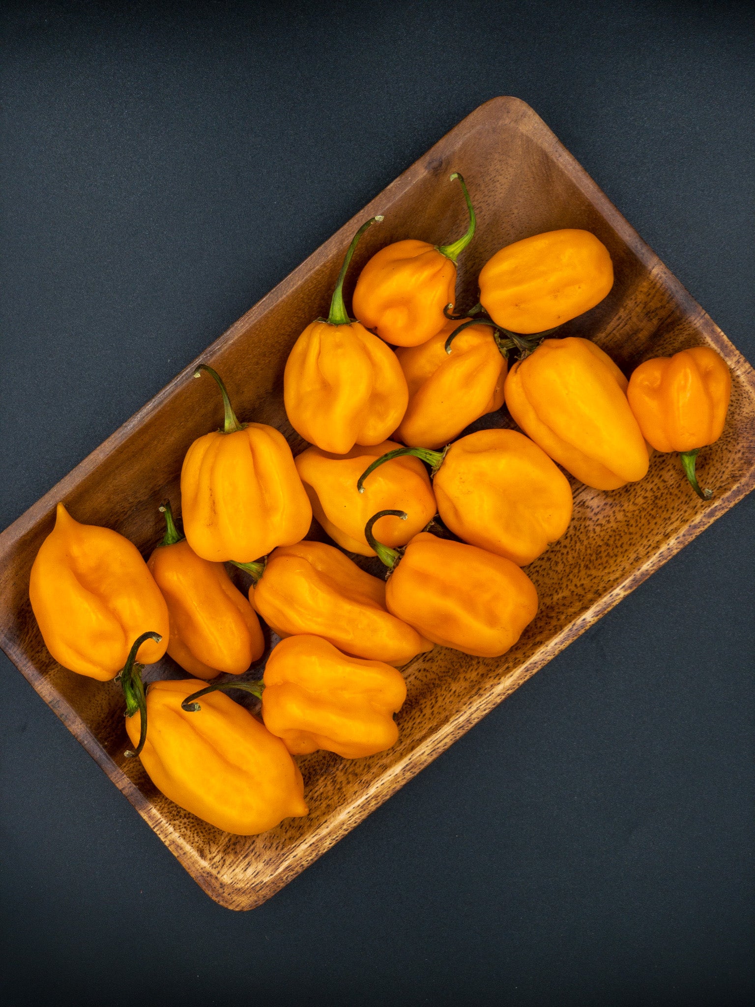 Habanero Pepper