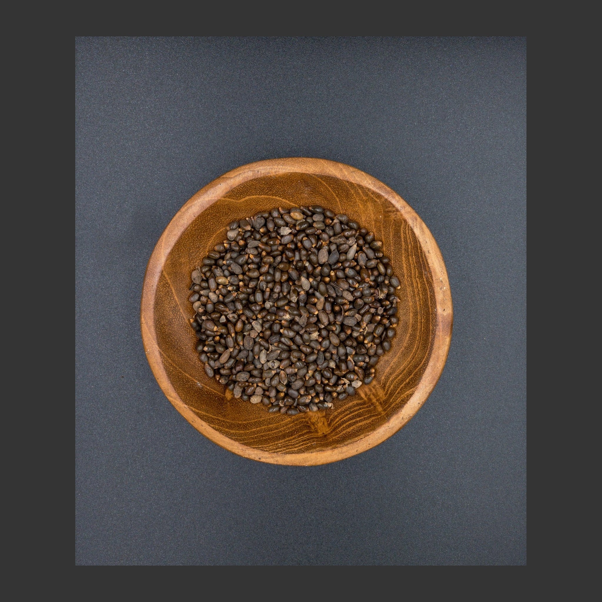 Orima Seeds
